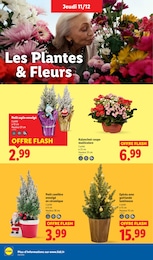 Prix et réduction Aménagement Extérieur dans le prospectus Lidl en cours Offre Aménagement Extérieur dans le catalogue Lidl du moment à la page 40