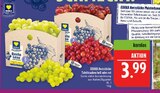 Aktuelle Weintrauben Angebote bei Marktkauf in Nürnberg Aktuelles Tafeltrauben hell Angebot bei Marktkauf in Nürnberg ab 3,99 €