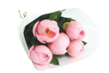 Aktuelle Blumen Angebote bei EDEKA in Augsburg Aktuelles Pfingstrosen-Strauß Angebot bei EDEKA in Augsburg ab 4,99 €
