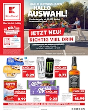 Aktueller Kaufland Prospekt mit Energydrink, "Aktuelle Angebote", Seite 1