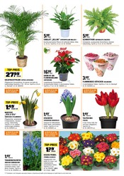 Garten im OBI Prospekt in Elmshorn Aktueller OBI Prospekt mit Garten, "BIBERSTARKE ANGEBOTE", Seite 9