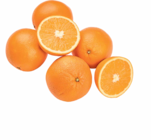 Orangen im aktuellen Netto Marken-Discount Prospekt