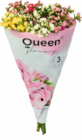 Kalanchoe Schnittblume im Angebot bei Netto Marken-Discount in Wunstorf Kalanchoe Schnittblume Angebote von Queen bei Netto Marken-Discount Wunstorf für 6,99 €
