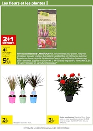Offre Terreau universel dans le catalogue Carrefour du moment à la page 74