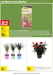 Promos Plantation dans le catalogue "Carrefour" de Carrefour à la page 74 Promos Plantation dans le catalogue "Carrefour" de Carrefour à la page 74