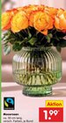 Moosrosen im Angebot bei Netto Marken-Discount in Bautzen Moosrosen Angebote bei Netto Marken-Discount Bautzen für 1,99 €