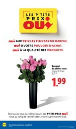 Prix et réduction Plantation dans le prospectus Lidl en cours Offre Plantation dans le catalogue Lidl du moment à la page 42