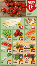Ähnliche Angebote wie Tulpen im Prospekt "Dein Markt" auf Seite 7 von REWE in Königswinter