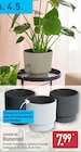 Aktuelles Blumentopf Angebot bei ALDI Nord in Bielefeld ab 7,99 €
