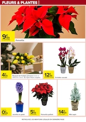 Orchidée Angebote im Prospekt "APÉRO DINATOIRE" von Carrefour auf Seite 92