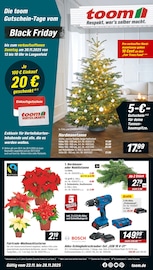 Weihnachtsstern im toom Baumarkt Prospekt in Dormagen Aktueller toom Baumarkt Prospekt mit Weihnachtsstern, "Respekt, wer's selber macht.", Seite 1