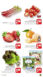 Aktueller E center Prospekt mit Erdbeeren, "Aktuelle Angebote", Seite 5