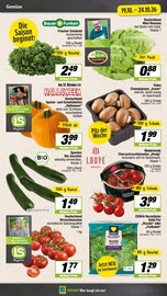 Kürbis im EDEKA Prospekt in Bergkamen Aktueller EDEKA Prospekt mit Kürbis, "Aktuelle Angebote", Seite 3