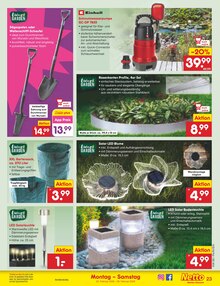 Blumen im Netto Marken-Discount Prospekt "Aktuelle Angebote" mit 59 Seiten (Ingolstadt)