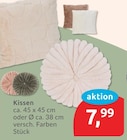 Kissen von  im aktuellen budni Prospekt für 7,99 €