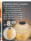 Premium-Solar-Lampion im aktuellen Rossmann Prospekt