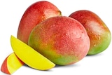 Mango Angebot in Aumühle Mango im aktuellen Prospekt bei Penny in Aumühle