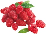 Himbeeren von REWE Beste Wahl für 1,99 € bei REWE im Angebot Himbeeren von REWE Beste Wahl im aktuellen REWE Prospekt