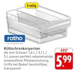 Kühlschrankorganizer im Angebot bei E center in Neunkirchen Kühlschrankorganizer Angebote von Rotho bei E center Neunkirchen für 5,99 €