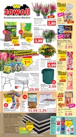 Blumenzwiebeln im Jawoll Prospekt in Oberursel Aktueller Jawoll Prospekt mit Blumenzwiebeln, "Sonderposten-Märkte", Seite 1