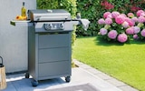 Elektrogrill eStar im Angebot bei Hellweg in Hamm Elektrogrill eStar Angebote bei Hellweg Hamm für 249,00 €