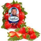 Erdbeeren Angebote von SanLucar bei REWE Sindelfingen für 3,99 €