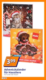 Weihnachtskalender im Action Prospekt "Wochenangebote" auf Seite 24
