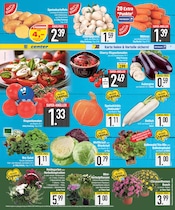 Ähnliche Angebote wie Saatgut im Prospekt "DAS BESTE DER WOCHE" auf Seite 7 von EDEKA in Straubing