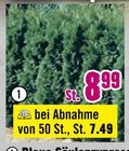 Blaue Säulenzypresse im Angebot bei Hornbach in Pforzheim Blaue Säulenzypresse Angebote bei Hornbach Pforzheim für 7,49 €