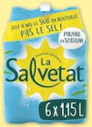 Eau minérale naturelle gazeuse - Salvetat en promo chez Super U Saint-Nazaire à 1,56 €