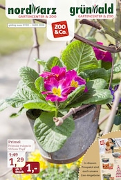 Aktueller Garten-Center Nordharz GmbH & Co. KG Prospekt mit Pflanzen, "Zoo & Co.", Seite 1