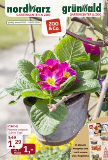 Pflanzen im Garten-Center Nordharz GmbH & Co. KG Prospekt "Zoo & Co." mit 14 Seiten (Salzgitter)