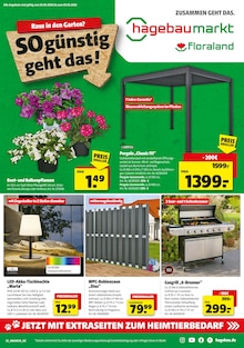 Aktueller Hagebaumarkt Prospekt
