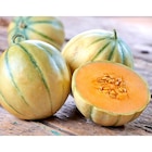 Melon charentais CARREFOUR BIO dans le catalogue Carrefour
