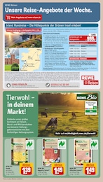 REWE Gouda im Prospekt 