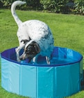 Hundepool im tegut Prospekt Hundepool von im aktuellen tegut Prospekt für 17,99 €