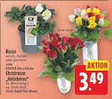 Christrosen "Helleborus" von EDEKA Herzstücke für 3,49 € bei E center im Angebot Christrosen "Helleborus" von EDEKA Herzstücke im aktuellen E center Prospekt
