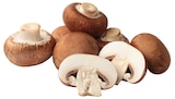 Champignons braun Angebote bei Lestra Bremen für 1,99 €