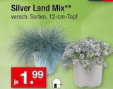 Silver Land Mix Angebote bei Zimmermann Wilhelmshaven für 1,99 €