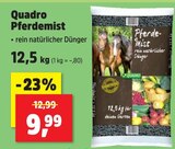 Pferdemist von Quadro im aktuellen Thomas Philipps Prospekt