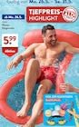 ALDI SÜD - Wasserhängematte Angebot im Prospekt Wasserhängematte bei ALDI SÜD im Prospekt "" für 5,99 €