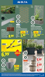 Teleskop im Lidl Prospekt in Neu-Ulm Aktueller Lidl Prospekt mit Teleskop, "LIDL LOHNT SICH", Seite 33