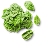 Aktuelle Rucola Angebote bei Kaufland in Leipzig Aktuelles Bio-Babyspinat Angebot bei Kaufland in Leipzig ab 0,99 €