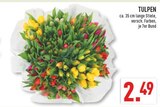 TULPEN Angebote bei Marktkauf Mülheim für 2,49 €