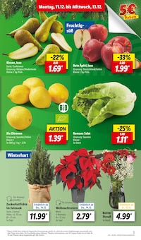 Pflanzen Angebot im Lidl Prospekt, gültig von 11.12.2023 bis 16.12.2023 Pflanzen Angebot im aktuellen Lidl Prospekt auf Seite 3