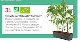 Tomate certifiée AB - Truffaut en promo chez Truffaut Mulhouse à 3,99 €