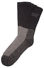 Socken Angebote von CAT bei Penny Kiel für 6,99 €