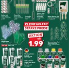Aktuelles Roller-Set Angebot bei Kaufland in Koblenz ab 1,99 €