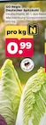 Deutscher Spitzkohl von GO Regio für 0,99 € bei Netto mit dem Scottie im Angebot Deutscher Spitzkohl von GO Regio im aktuellen Netto mit dem Scottie Prospekt