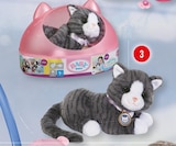 Meine Katze Cookie bei Kaufhaus Stolz im Laboe Prospekt für 27,99 €